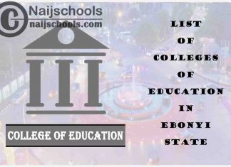 Full List of Accredited Colleges of Education in Ebonyi State Nigeria