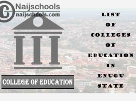 Full List of Accredited Colleges of Education in Enugu State Nigeria