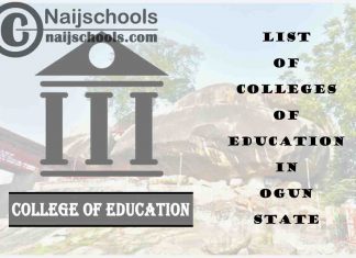 Full List of Accredited Colleges of Education in Ogun State Nigeria
