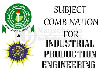 Subject Combination for Industrial Production Engineering