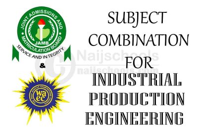 Subject Combination for Industrial Production Engineering