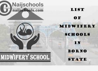 Full List of Accredited Midwifery Schools in Borno State Nigeria