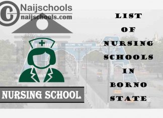 Complete List of Accredited Nursing Schools in Borno State Nigeria