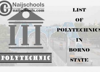 Full List of Accredited Polytechnics in Borno State Nigeria