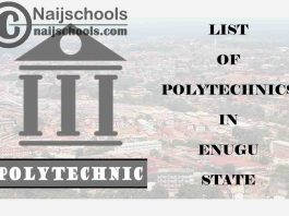 Full List of Accredited Polytechnics in Enugu State Nigeria
