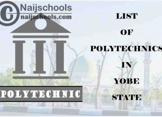 Full List of Accredited Polytechnics in Yobe State Nigeria