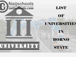 Full List of Federal, State & Private Universities in Borno State Nigeria