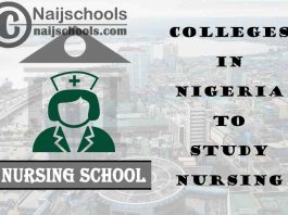 Full List of Accredited Colleges in Nigeria to Study Nursing