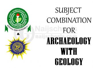 Subject Combination for Archaeology with Geology