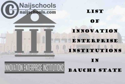 Full List of Innovation Enterprise Institutions in Bauchi State Nigeria