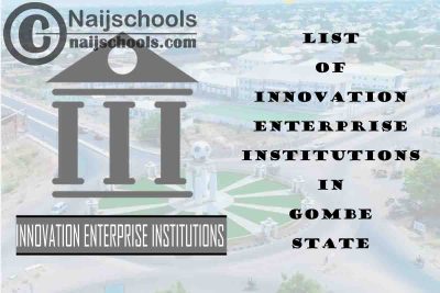 Full List of Innovation Enterprise Institutions in Gombe State Nigeria