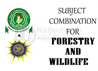 Subject Combination for Forestry and Wildlife