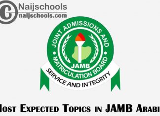 Most Expected Topics in JAMB Arabic 2023 CBT Exam