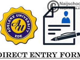 Adeleke University Direct Entry Screening Form for 2021/2022 Academic Session | APPLY NOW