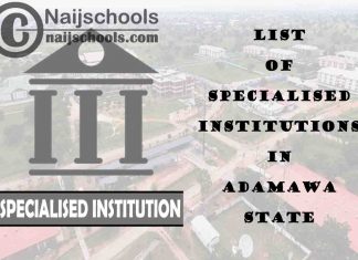 Full List of Specialised Institutions in Adamawa State Nigeria