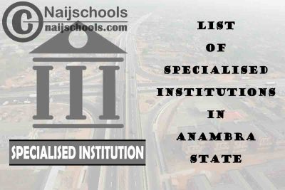 Full List of Specialised Institutions in Anambra State Nigeria