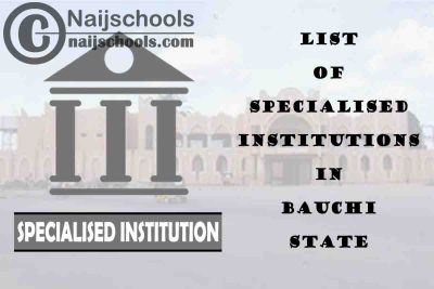Full List of Specialised Institutions in Bauchi State Nigeria