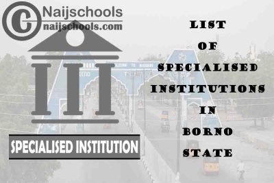 Full List of Specialised Institutions in Borno State Nigeria