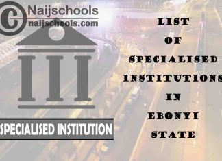 Full List of Specialised Institutions in Ebonyi State Nigeria