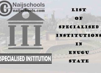 Full List of Specialised Institutions in Enugu State Nigeria