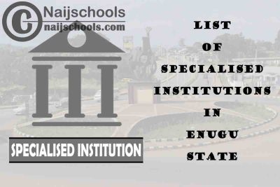 Full List of Specialised Institutions in Enugu State Nigeria