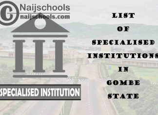 Full List of Specialised Institutions in Gombe State Nigeria