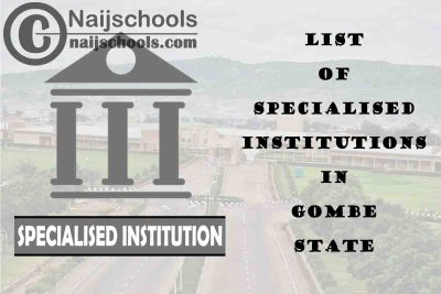 Full List of Specialised Institutions in Gombe State Nigeria
