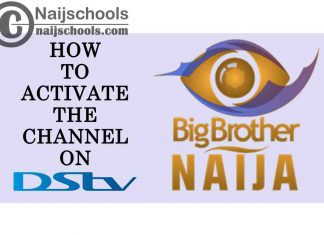 How to Activate & Watch the 2021 Big Brother Naija (BBN) Channel 198 on Your DStv Africa Decoder