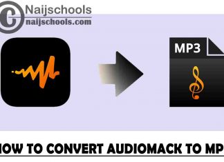 How to Convert Audiomack Music/Song to MP3 that You can Play on Other Music Apps