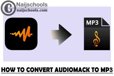 How to Convert Audiomack Music/Song to MP3 that You can Play on Other Music Apps