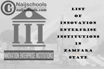 Full List of Innovation Enterprise Institutions in Zamfara State Nigeria