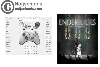 ENDER LILIES: Quietus of the Knights X360ce Settings for Any PC Gamepad Controller | TESTED & WORKING