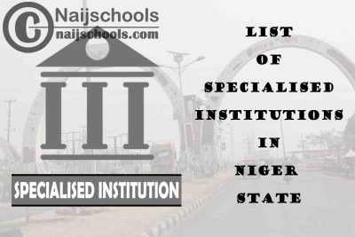 Full List of Specialised Institutions in Niger State Nigeria