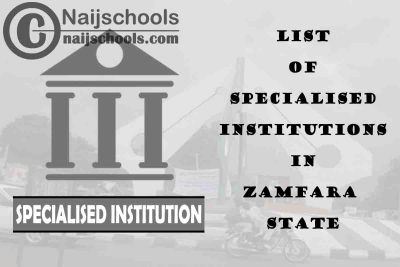 Full List of Specialised Institutions in Zamfara State Nigeria