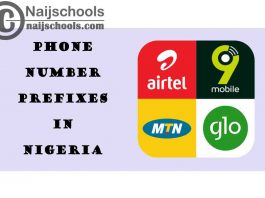 Complete List of Network Operators in Nigeria & Their Respective Telephone (Phone Number) Prefixes 2021