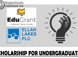 Edugrant in Partnership with Ellah Lakes Scholarship 2021 for Undergraduates (Full Scholarship) | APPLY NOW