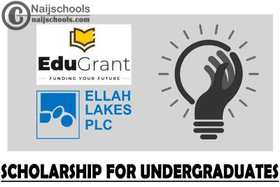 Edugrant in Partnership with Ellah Lakes Scholarship 2021 for Undergraduates (Full Scholarship) | APPLY NOW