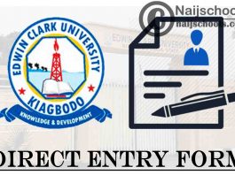 Edwin Clark University Direct Entry Screening Form for 2021/2022 Academic Session | APPLY NOW