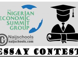 Nigerian Economic Summit Group Essay Contest 2021 for Nigerian Students | APPLY NOW
