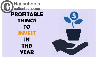 6 of the Best Profitable Things to Invest in this Year 2022