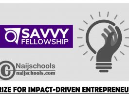 Savvy Prize for Impact-Driven Entrepreneurs 2021 (Win $3,000 Cash Prizes and Support) | APPLY NOW