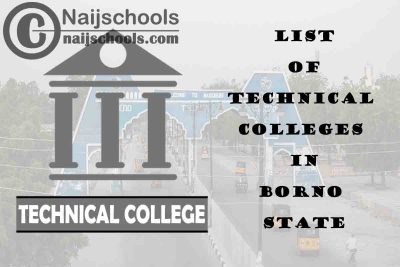 Full List of Technical Colleges in Borno State Nigeria