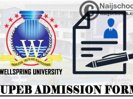 Wellspring University JUPEB Admission Form for 2021/2022 Academic Session | APPLY NOW