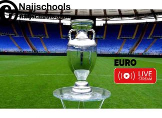 Euro Streaming; How to Watch Euro Live Stream for Free, with VPN & On Paid Channels