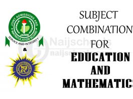Subject Combination for Education and Mathematics