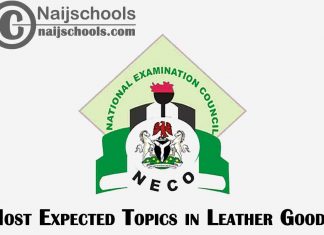 Most Expected Topics in 2023 NECO Leather Goods SSCE & GCE | CHECK NOW