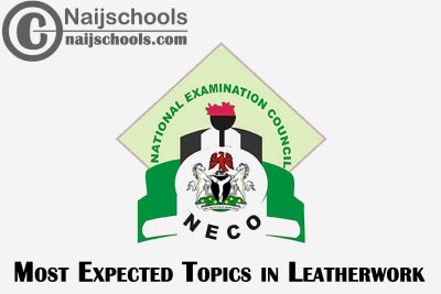 Most Expected Topics in 2022 NECO Leatherwork SSCE & GCE | CHECK NOW