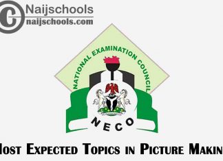 Most Expected Topics in 2023 NECO Picture Making SSCE & GCE | CHECK NOW