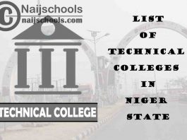 Full List of Technical Colleges in Niger State Nigeria