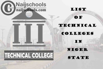 Full List of Technical Colleges in Niger State Nigeria
